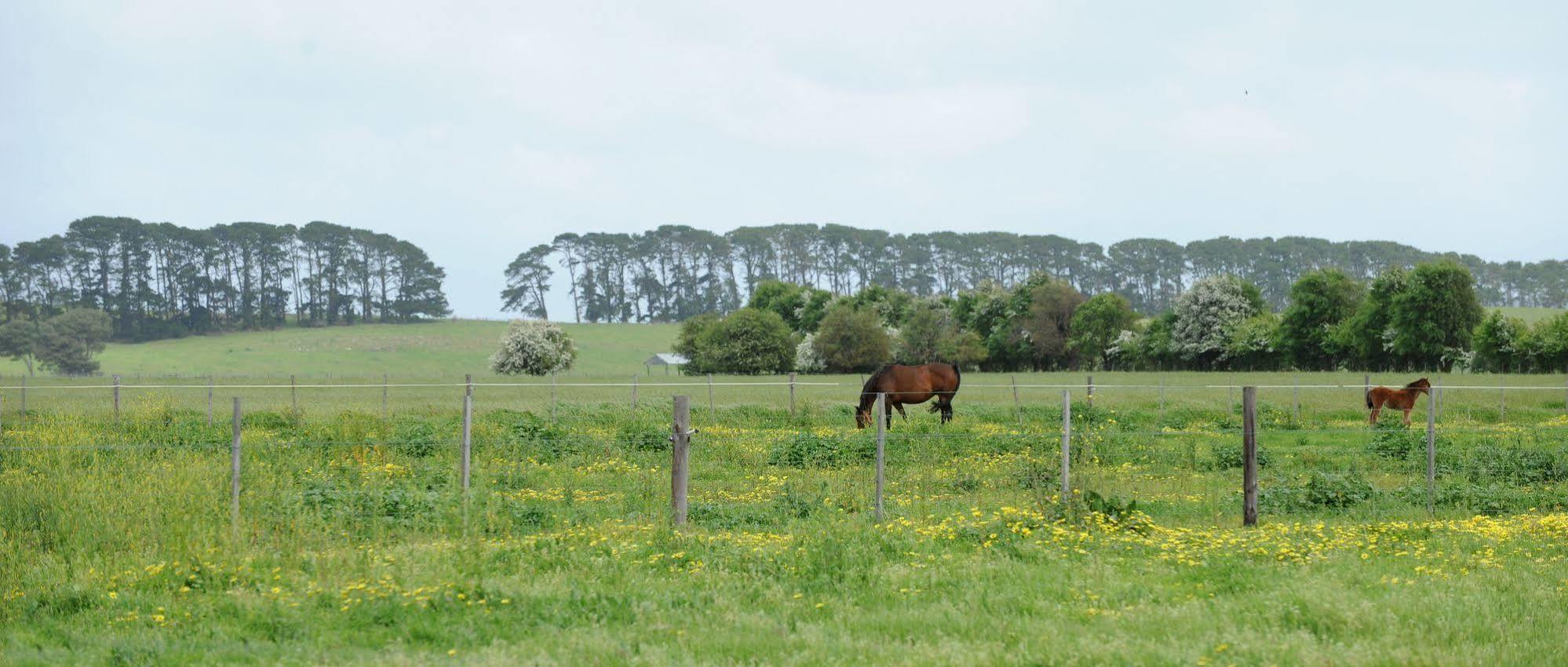 The Barn Accommodation Mount Gambier Εξωτερικό φωτογραφία